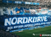 开云APP-包含沙尔克04球迷协会举办球迷联谊会，共同狂欢的词条